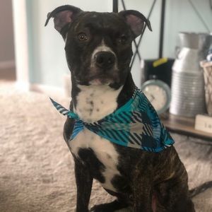 Meet your Posher, Erica